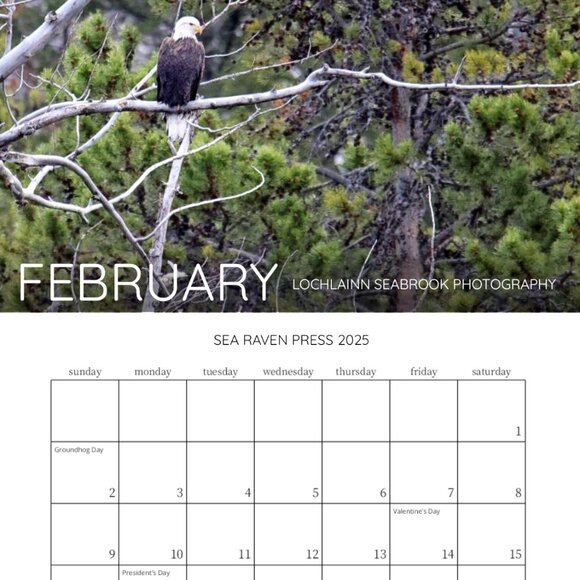 Mini 2025 Rocky Mountain Custom Wildlife Calendar For Small Spaces 11.5" x 8" - Picture 3 of 13